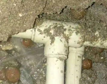 平乐测漏水多少钱