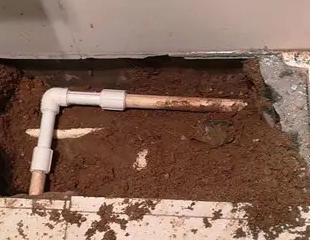 平乐测漏水哪家好