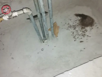 平乐卫生间测漏水价格明细