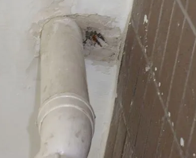 平乐漏水检测哪家好